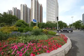 跟着马拉松游济宁，来生态太白湖感受生活美学图片