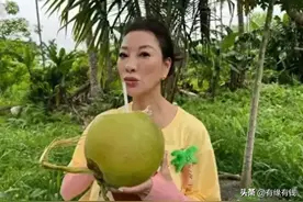 演员杨绣惠发文表明立场：我是台湾人，不赚RMB也能逍遥自在？图片