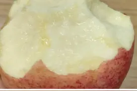 为什么大家都不喜欢吃苹果？网友：吃起来很辛苦 ，没有希望的感觉图片