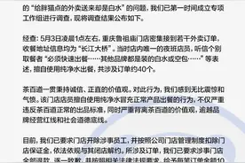 茶百道以胖猫之名捐款 100 万：一次公关的胜利，一次爱心的传递图片