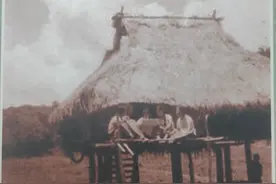 上海老知青下乡第一年,吃过各种各样野兽肉，现在想想真的是罪孽图片