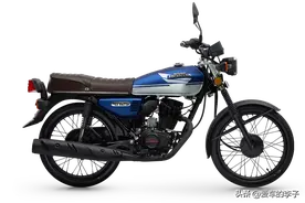 7780元、最大功率7.3kW，五羊本田 CG125special经典复古续航车图片