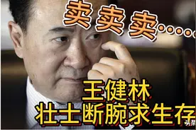 王健林因三大错误落入窘境，如今忍痛贱卖万达，是否还能东山再起图片
