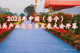 花漾南岭，绿美广东——2023普宁黄杨盆景艺术展隆重举行图片