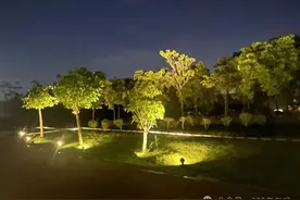 76.28米！洪水洪峰通过南宁！图片