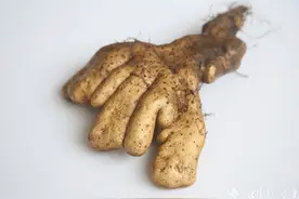 珍自然 | 市面上的山药种类和山药粉有什么区别？详细总结帖图片