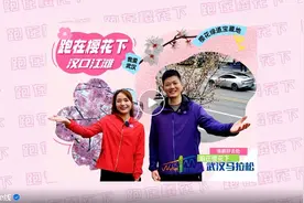相约樱花季，一起跑汉马。就在明天！这7个樱花赛段，错过再等一年图片