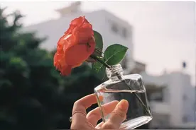 不管是情人还是爱人，做过这三件事，早就缘尽了，离开吧图片