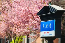 官宣 | 海棠盛开时！“李白”“敖宝”来天津！还有3000多万消费券......图片