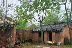 在所有的亲戚关系里，舅舅是最尴尬和无可奈何的存在图片