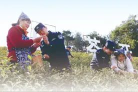 走进“茶叶之乡”，为春耕季护航图片