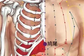 鸠尾穴，中医治疗晕车晕船的有效穴位，值得了解图片