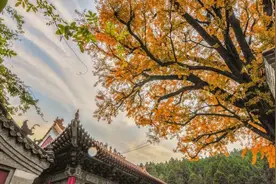 如果想要实现炒股养家，本文将是你的垫脚石，献给还在亏损的散户图片