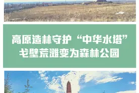 高原造林守护“中华水塔” 戈壁荒滩变为森林公园图片