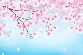 表姐花2000块钱请的煮饭阿姨跑了，想让我帮忙，可她没打算给钱图片