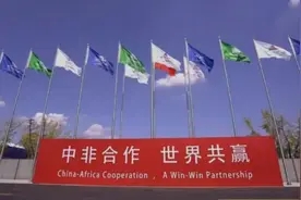 中国曾援助纳米比亚4000吨大米，换来世界第三大铀矿？太意外了图片