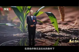 致奋斗·春天里的演讲丨全国人大代表、“杂交谷子之父”赵治海：一粒谷子里的“中国饭碗”图片