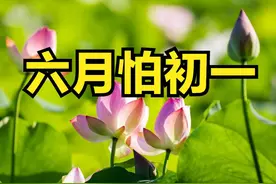 老话说“六月怕初一”，六月初一小暑，到底怕啥？听老人咋说图片