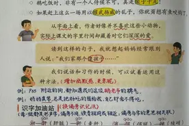 四年级下册语文，第四单元《语文园地四》笔记+课堂解析，收藏图片