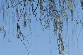 过了70岁，一定要小心，摔一跤可能永远起不来了图片