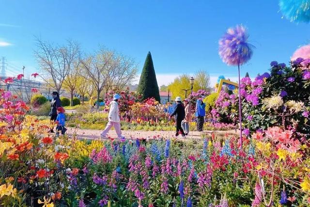 半日休闲游玩 | 牡丹+流苏+多巴胺花海，好拍到停不下来