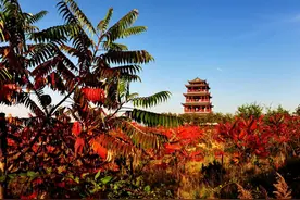 国庆假期出门赏秋去咯！万柏林秋景主题路线待君赏图片