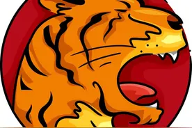 生肖虎出生在这6个月份，属于后福命！一生先吃苦，后享福！图片