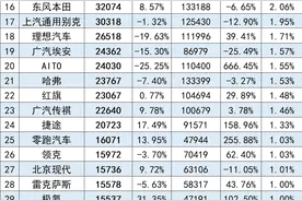 2024年4月汽车细分品牌终端销量排行榜图片