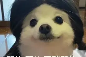 考研复试：有这些证书狠狠加分！图片