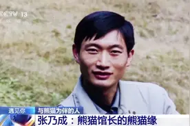 重庆大熊猫爱吃啥子？当然是“huo guo”~图片