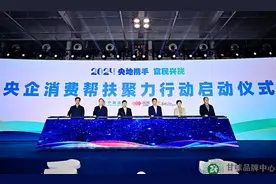 “央地携手 富民兴陇”2024央企消费帮扶聚力行动——国投甘肃新能源公司工会积极助力消费帮扶工作图片