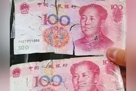 最真诚的忠告：现金现金现金图片
