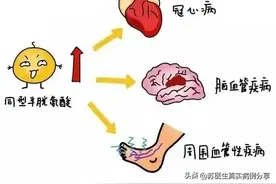 终于知道同型半胱氨酸升高为什么要补充叶酸了？图片