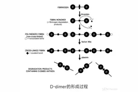 关于D-二聚体临床完美的解读图片
