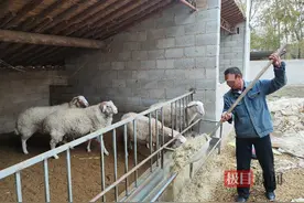 村官“挪用”低保户4.8万贷款：双方在司法所门口起冲突，村民称被打骨折图片