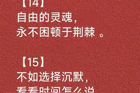 这才是顶级凉薄｜自由的灵魂，永不困顿于荆棘！图片