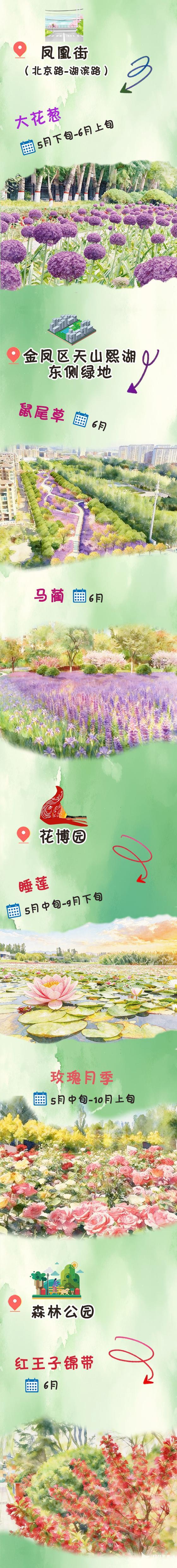 🌺🌻🌼拾一缕夏风 赏一城繁华，银川6月赏花地图请查收😘