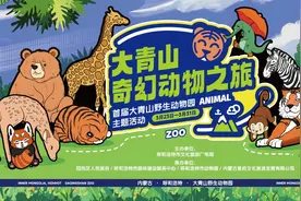 首届“大青山奇幻动物之旅”延长日期啦！图片