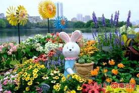 童趣满满！南宁花境大赛免费开放，还有展演、集市等你来图片