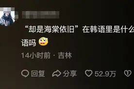 笑不活了！韩语版知否知否冲上热榜，25万人笑死在了评论区图片