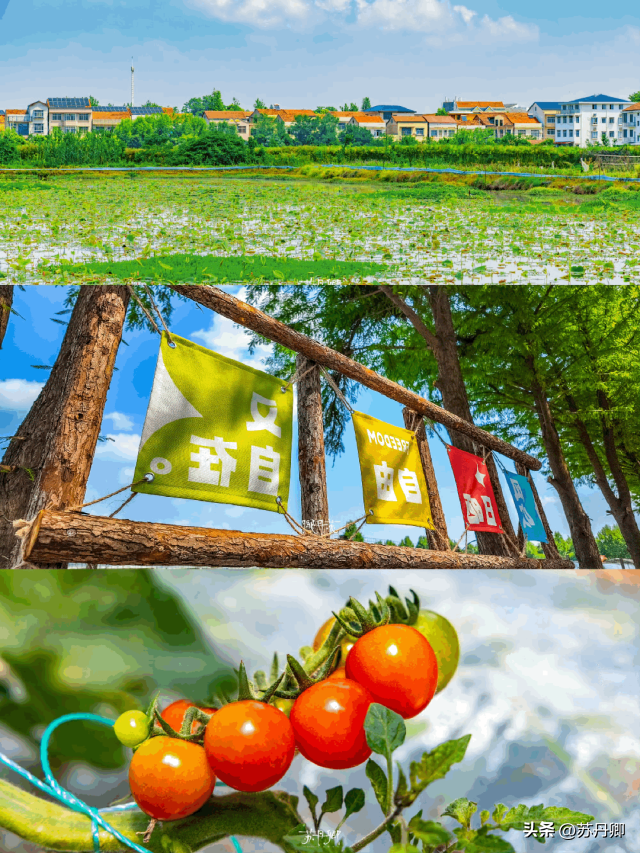 这座没有高铁的小城市，拥有湖北省最大湖泊：武汉周边的度假胜地