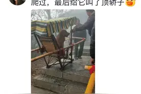 带狗爬过山吗？网友：爬过！到后来狗还是狗，人已累成了狗！图片