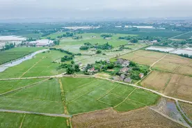 宜春万载县花塘村河道加固施工方破坏农田 致早稻无法种植图片