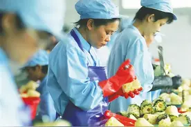 刷新认知！这些“海南造”尖货乘风破浪出海→图片