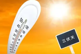三伏将至，建议大家：少吃带鱼和草鱼，多吃4样，营养肥美还不贵图片