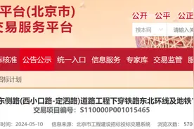 1.066亿元！建材城东侧路这一段有新进展图片