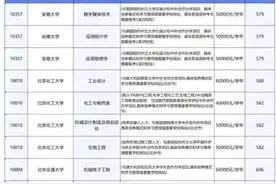 低分上名校！985/211中外合作专业学费及录取分，除了贵没区别！图片