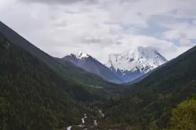 为什么人们都在向往旷野？图片