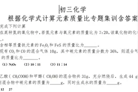 初三化学——根据化学式计算元素质量比专题集训含答案图片