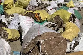 震后，他往定日县送了400袋牛粪，7辆车上还有村民捐的糌粑、米面和冬衣，“没有那些，冬天睡不了觉”图片